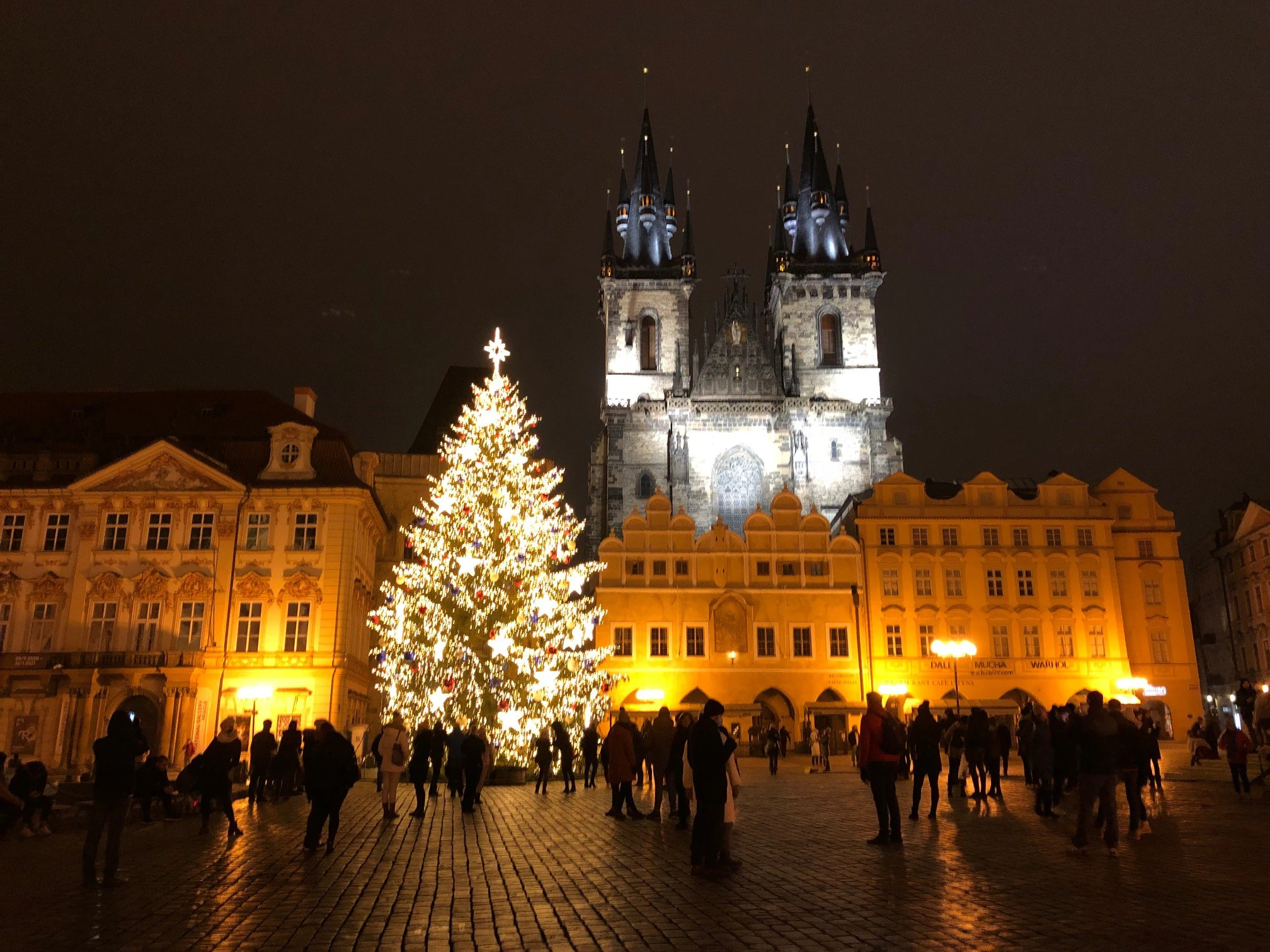 VIDEO: Vánoční strom na Staroměstském náměstí už svítí