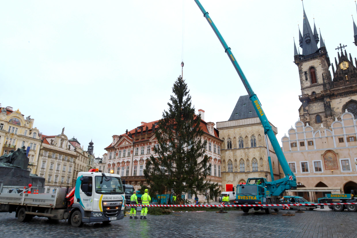 Staroměstské náměstí zdobil šest týdnů, teď najde další využití. Větve z vánočního stromu udělají radost v zoo, kmen zpracují středoškoláci